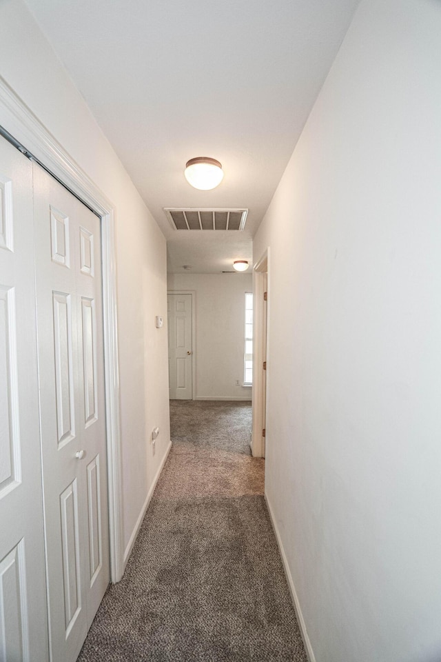 944 Cannock St, Grovetown, GA 30813 - corridor featuring carpet floors and baseboards