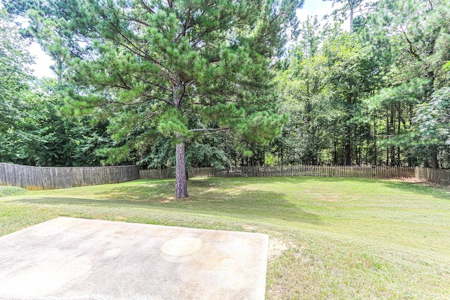 944 Cannock St, Grovetown, GA 30813 - fenced backyard featuring a patio