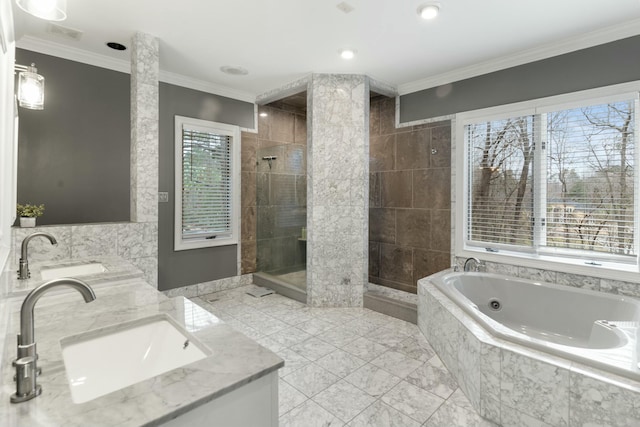 full bathroom with double vanity, a wealth of natural light, ornamental molding, and a sink