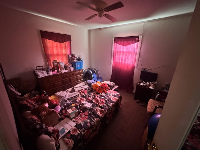 2916 Whistler Ln, Augusta, GA 30906 - bedroom featuring carpet and ceiling fan