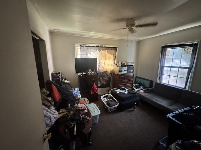 2916 Whistler Ln, Augusta, GA 30906 - living area with ceiling fan, carpet, and ornamental molding