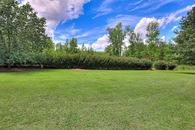1441 W Quaker Rd, Waynesboro, GA 30830 - photo 49