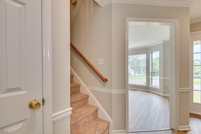 4159 Saddlehorn Dr, Evans, GA 30809 - photo 24