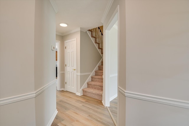 4159 Saddlehorn Dr, Evans, GA 30809 - photo 6