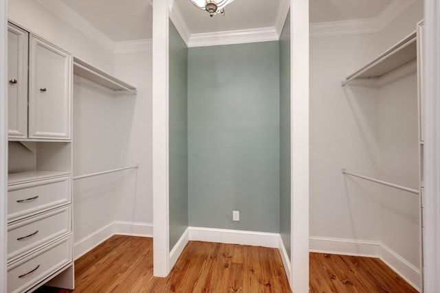 4142 Rivermont Dr, Evans, GA 30809 - walk in closet with light wood-style flooring