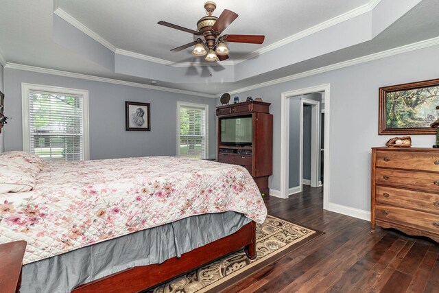 bedroom with a raised ceiling, multiple windows, ceiling fan, and crown molding