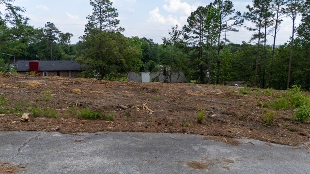 2333 Rutherford Ave, Augusta, GA 30906 - photo 8