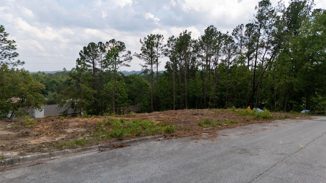 2333 Rutherford Ave, Augusta, GA 30906 - photo 4