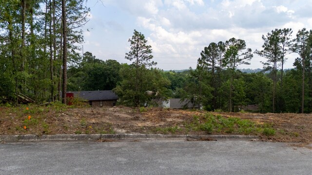2333 Rutherford Ave, Augusta, GA 30906 - photo 3