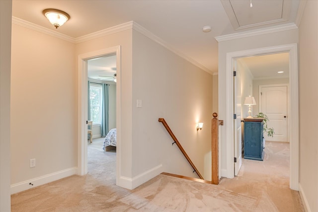 4315 Pierwood Way, Evans, GA 30809 - hallway with an upstairs landing, light colored carpet, and crown molding