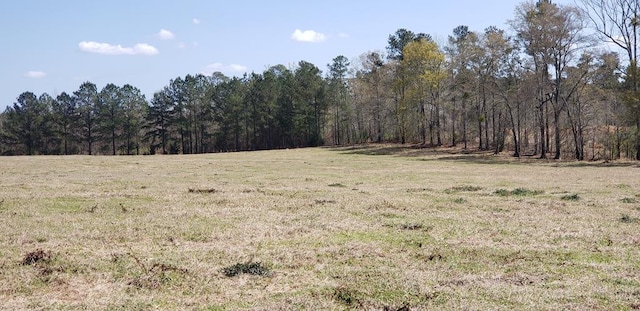716 Augusta Rd, Edgefield, SC 29824 - photo 7