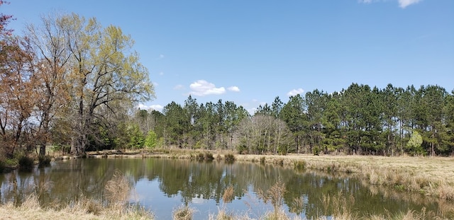 716 Augusta Rd, Edgefield, SC 29824 - photo 27