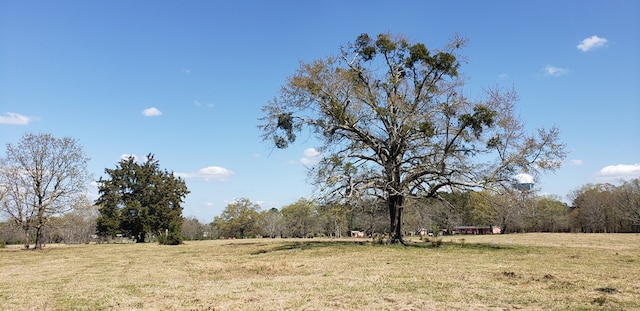 716 Augusta Rd, Edgefield, SC 29824 - photo 6