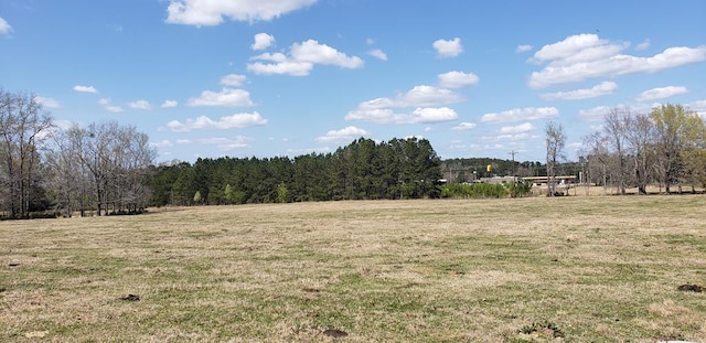 716 Augusta Rd, Edgefield, SC 29824 - photo 26
