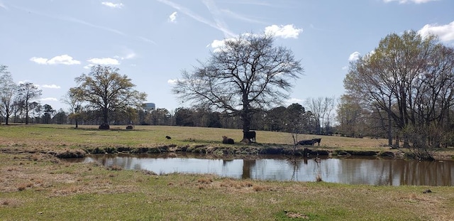 716 Augusta Rd, Edgefield, SC 29824 - photo 1
