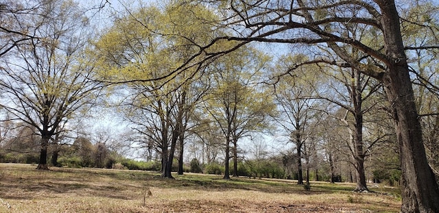 716 Augusta Rd, Edgefield, SC 29824 - photo 28