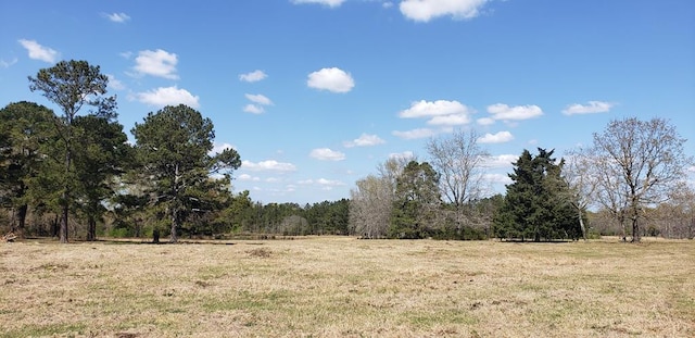 716 Augusta Rd, Edgefield, SC 29824 - photo 24