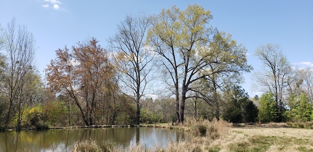 716 Augusta Rd, Edgefield, SC 29824 - photo 20