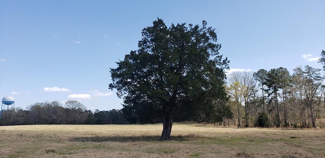 716 Augusta Rd, Edgefield, SC 29824 - photo 3