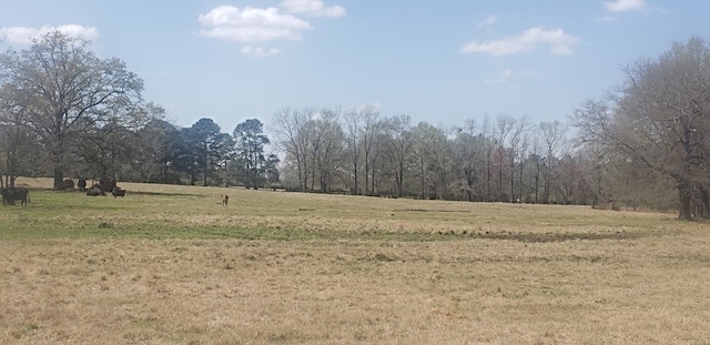 716 Augusta Rd, Edgefield, SC 29824 - photo 10