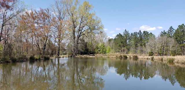 716 Augusta Rd, Edgefield, SC 29824 - photo 22