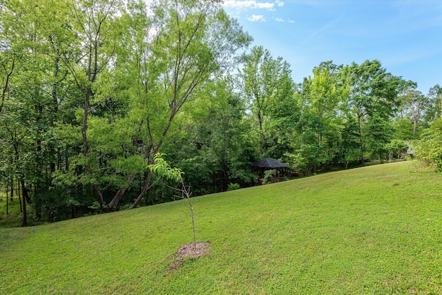 view of green lawn