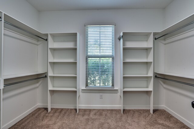 walk in closet with light colored carpet