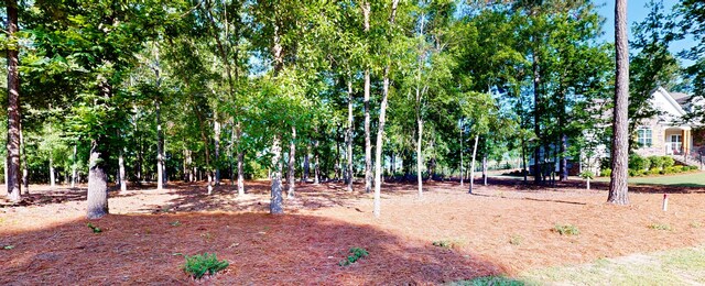 243 Walton Heath Way, Aiken, SC 29803 - view of yard