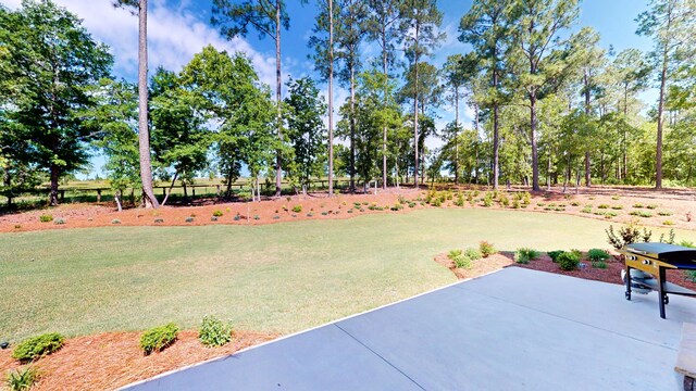 243 Walton Heath Way, Aiken, SC 29803 - view of grassy yard featuring a patio