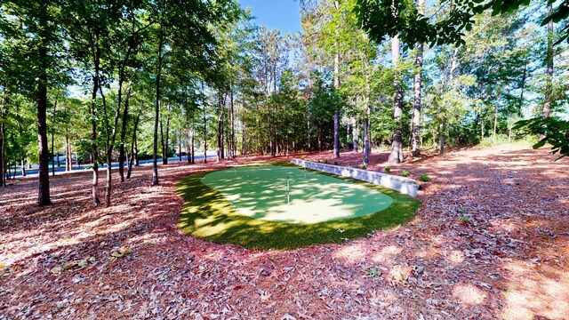 243 Walton Heath Way, Aiken, SC 29803 - view of yard with a putting area