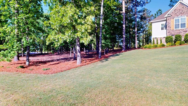 243 Walton Heath Way, Aiken, SC 29803 - view of grassy yard