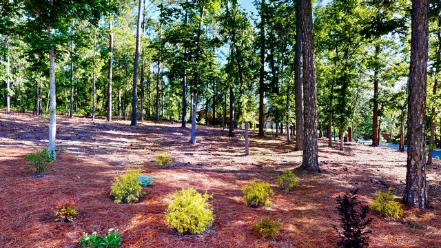 243 Walton Heath Way, Aiken, SC 29803 - view of property's community