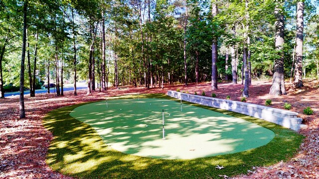 243 Walton Heath Way, Aiken, SC 29803 - view of community featuring a putting area