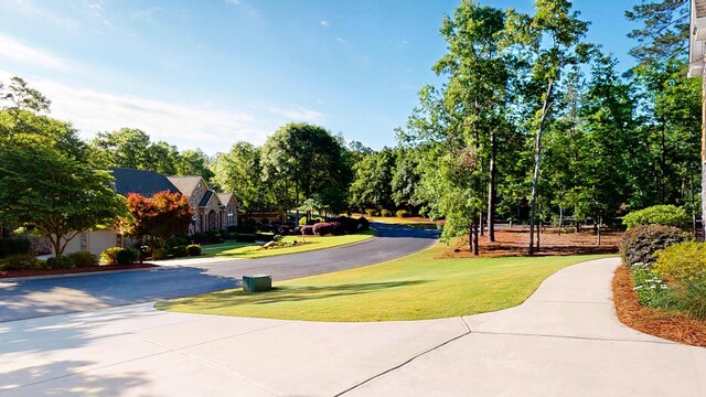 243 Walton Heath Way, Aiken, SC 29803 - view of home's community with a yard