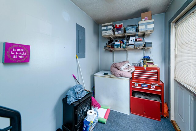 storage room with electric panel