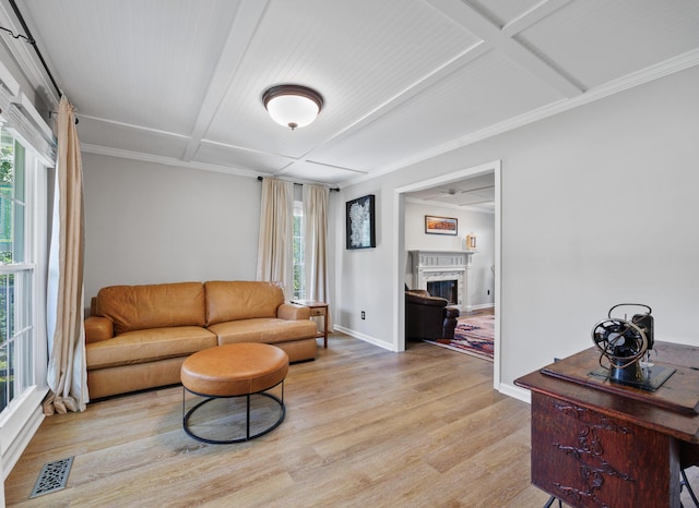 534 Creekridge Rd, Aiken, SC 29803 - living room with plenty of natural light, light wood-style floors, a fireplace, coffered ceiling, and ornamental molding