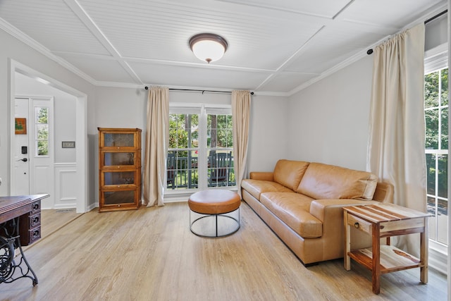 534 Creekridge Rd, Aiken, SC 29803 - living area with light wood-style floors and ornamental molding