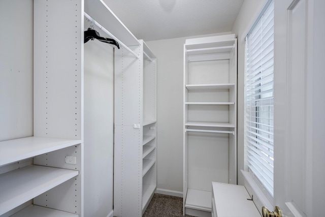 123 Sugar Maple Ln, Martinez, GA 30907 - view of walk in closet