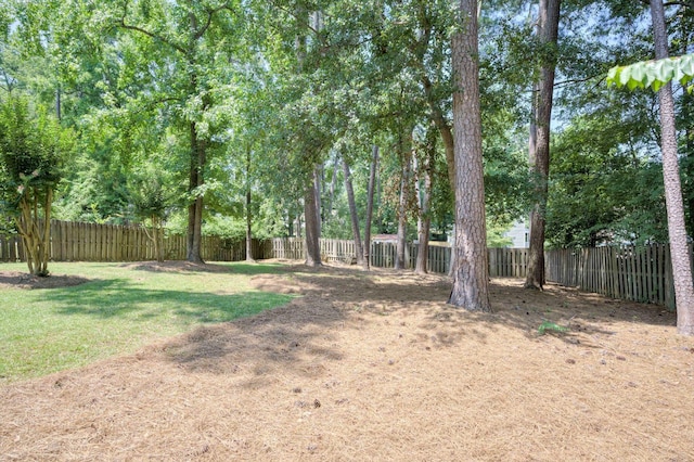 123 Sugar Maple Ln, Martinez, GA 30907 - view of fenced backyard