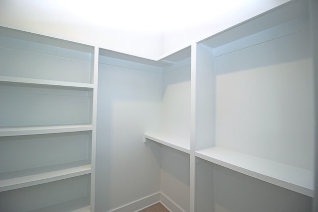 spacious closet featuring wood-type flooring