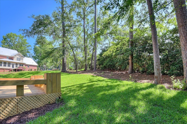 4 Shadowmoor Ct, North Augusta, SC 29841 - view of green lawn