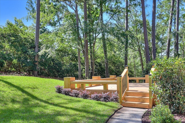 4 Shadowmoor Ct, North Augusta, SC 29841 - view of green lawn
