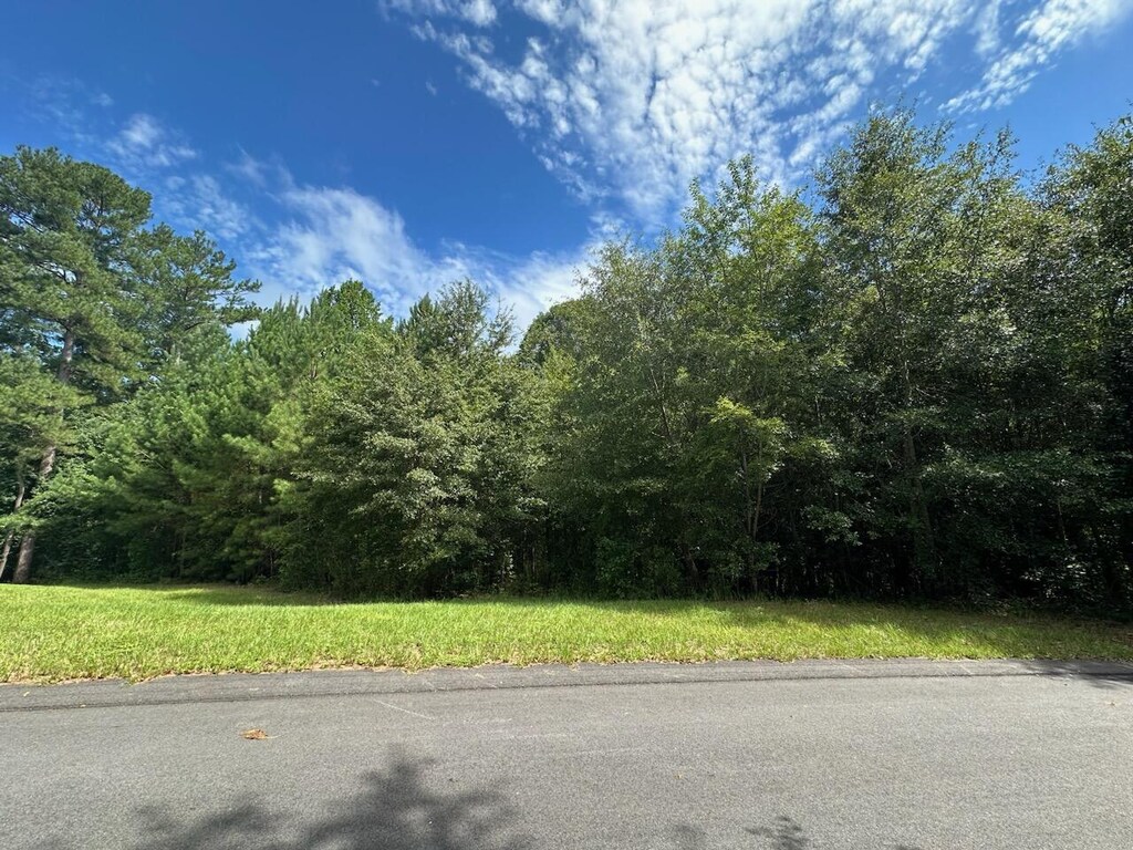 3183 Maplewood Dr, North Augusta, SC 29841 - photo 1