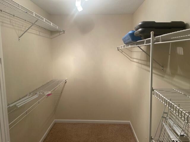 507 Julia Ct, Grovetown, GA 30813 - spacious closet featuring carpet