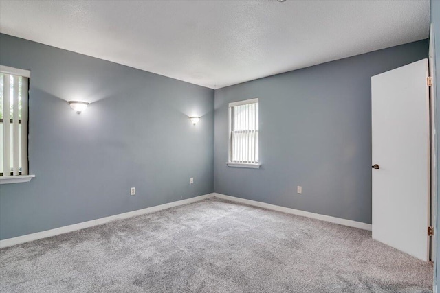 spare room featuring carpet and a textured ceiling