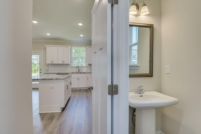 bathroom with backsplash, wood-type flooring, sink, and ornamental molding