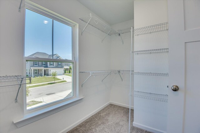 walk in closet featuring light carpet