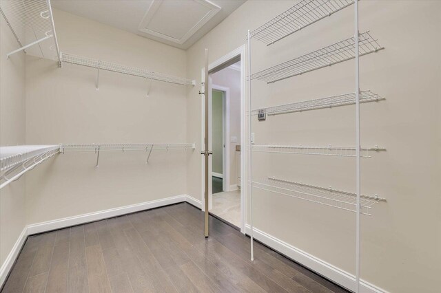 spacious closet with hardwood / wood-style floors