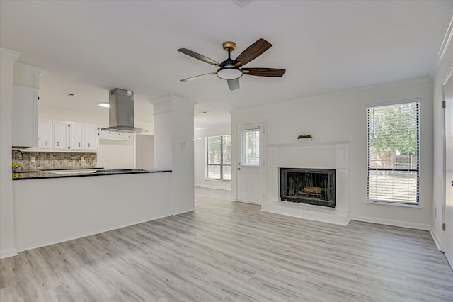 715 Gentlewind Ln, Martinez, GA 30907 - unfurnished living room with ceiling fan, crown molding, light wood-style flooring, and plenty of natural light