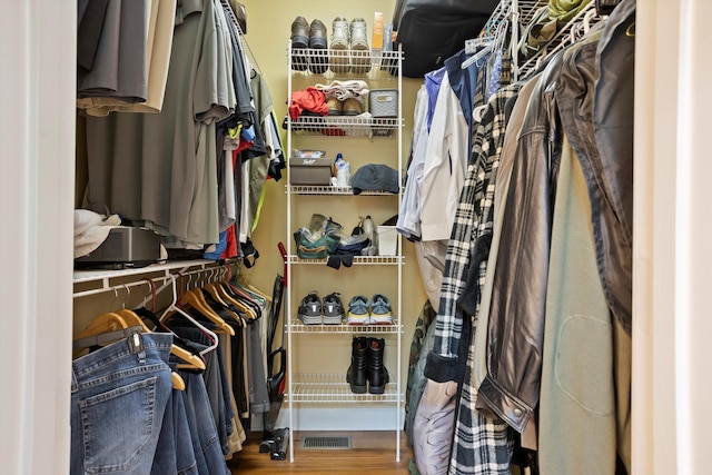 spacious closet with hardwood / wood-style flooring